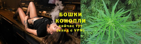 гидропоника Балабаново